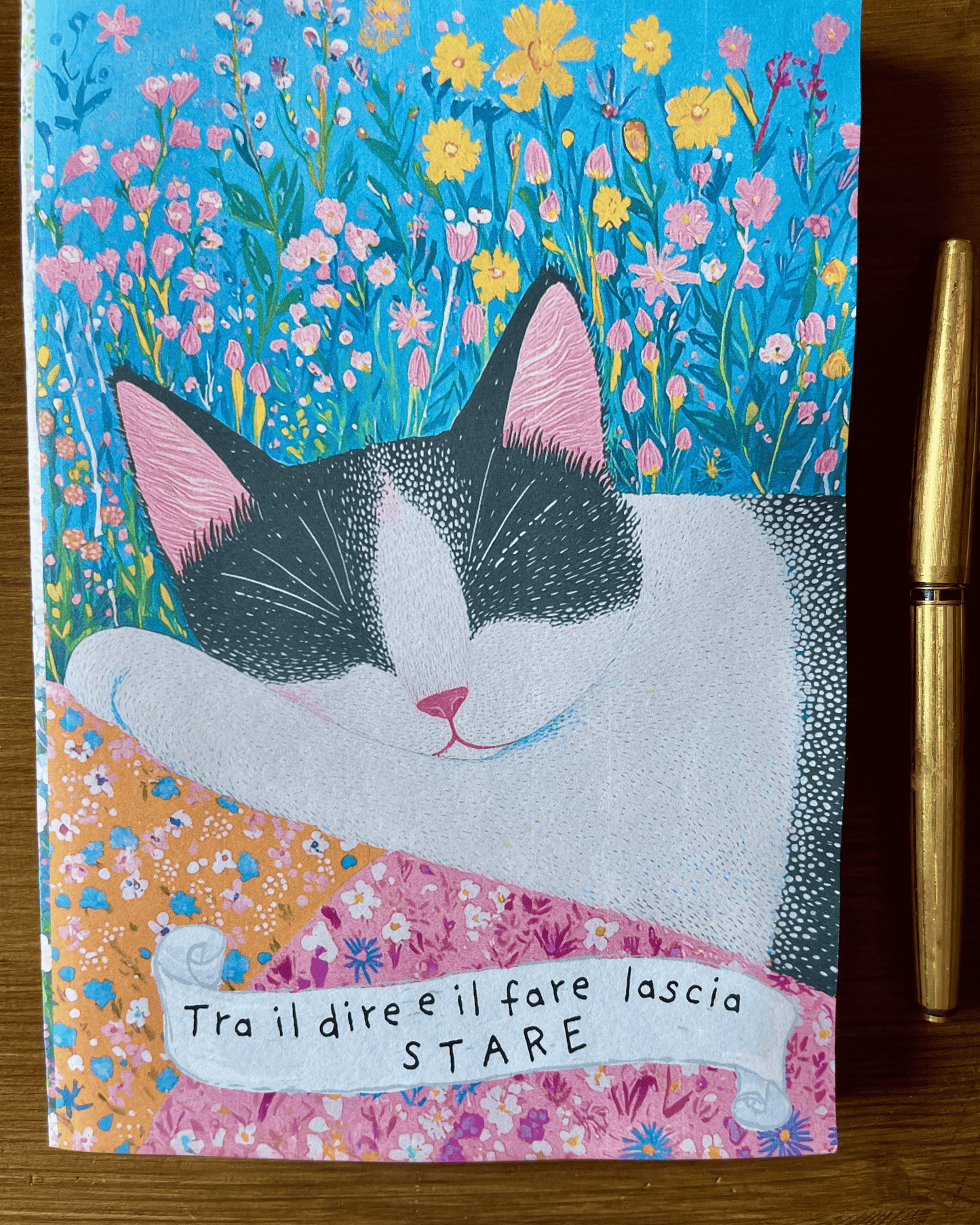 Saggezza felina