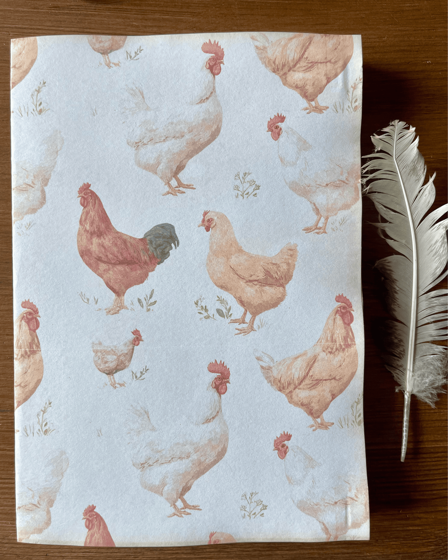 Galline