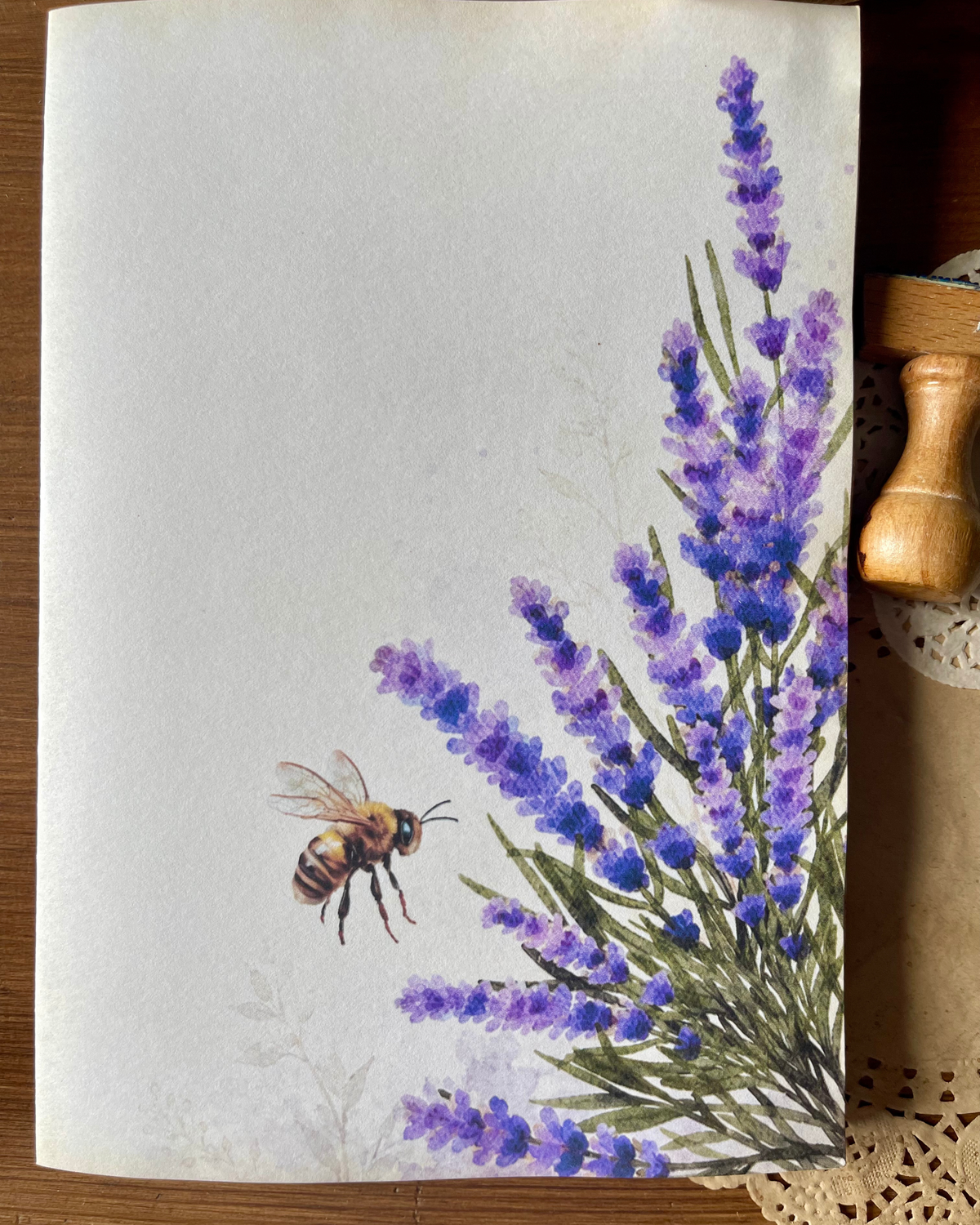 Lavanda