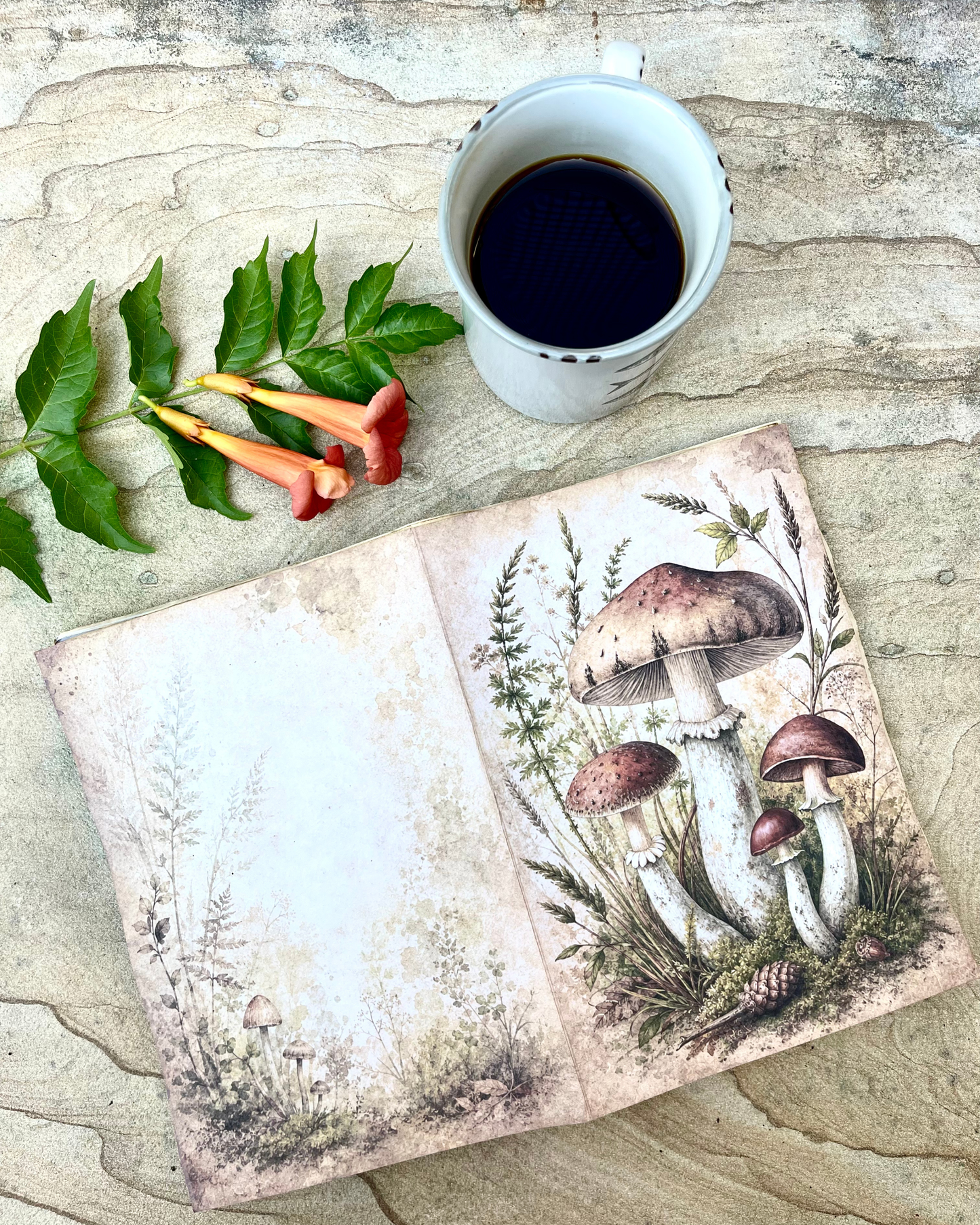 Funghi del bosco — Quaderno A5 fatto a mano