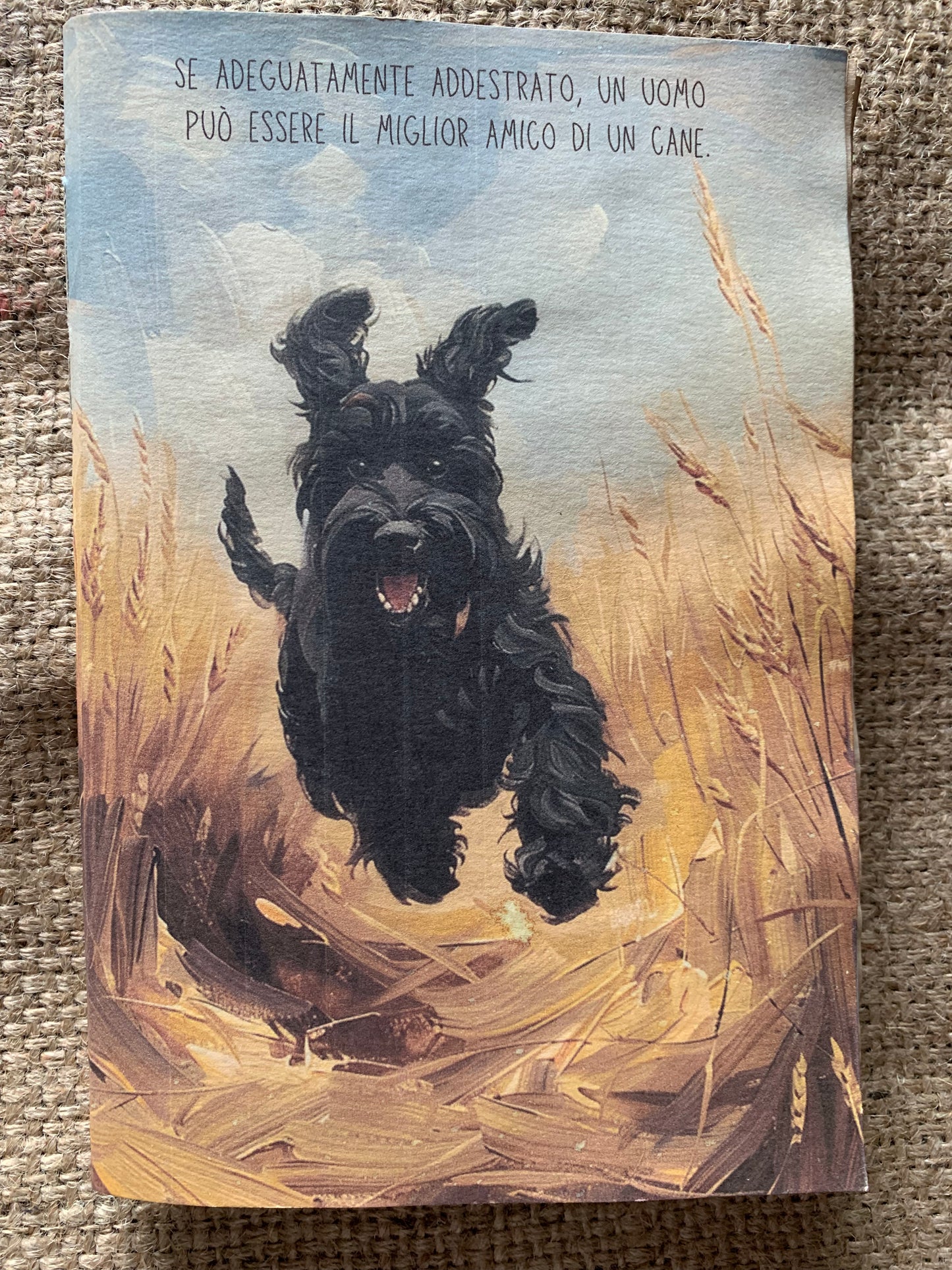 Amico del cane