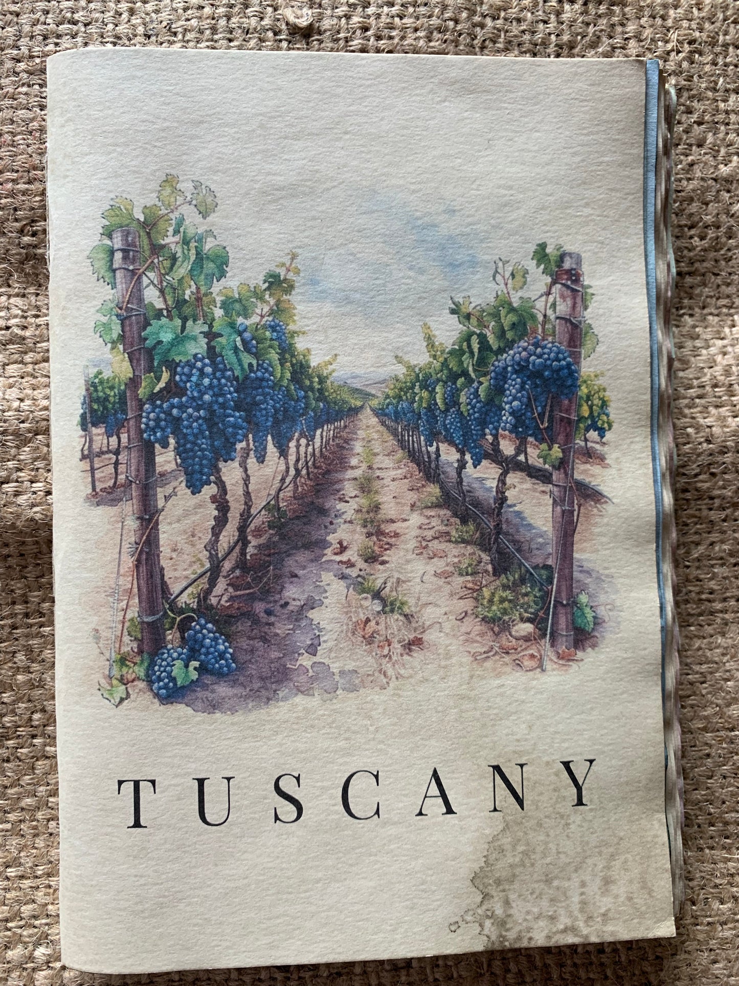 Tuscany Vineyard