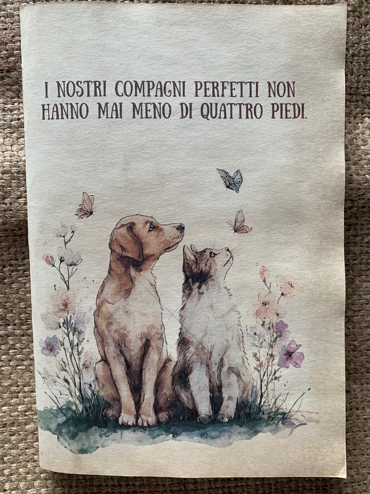 Quattro piedi