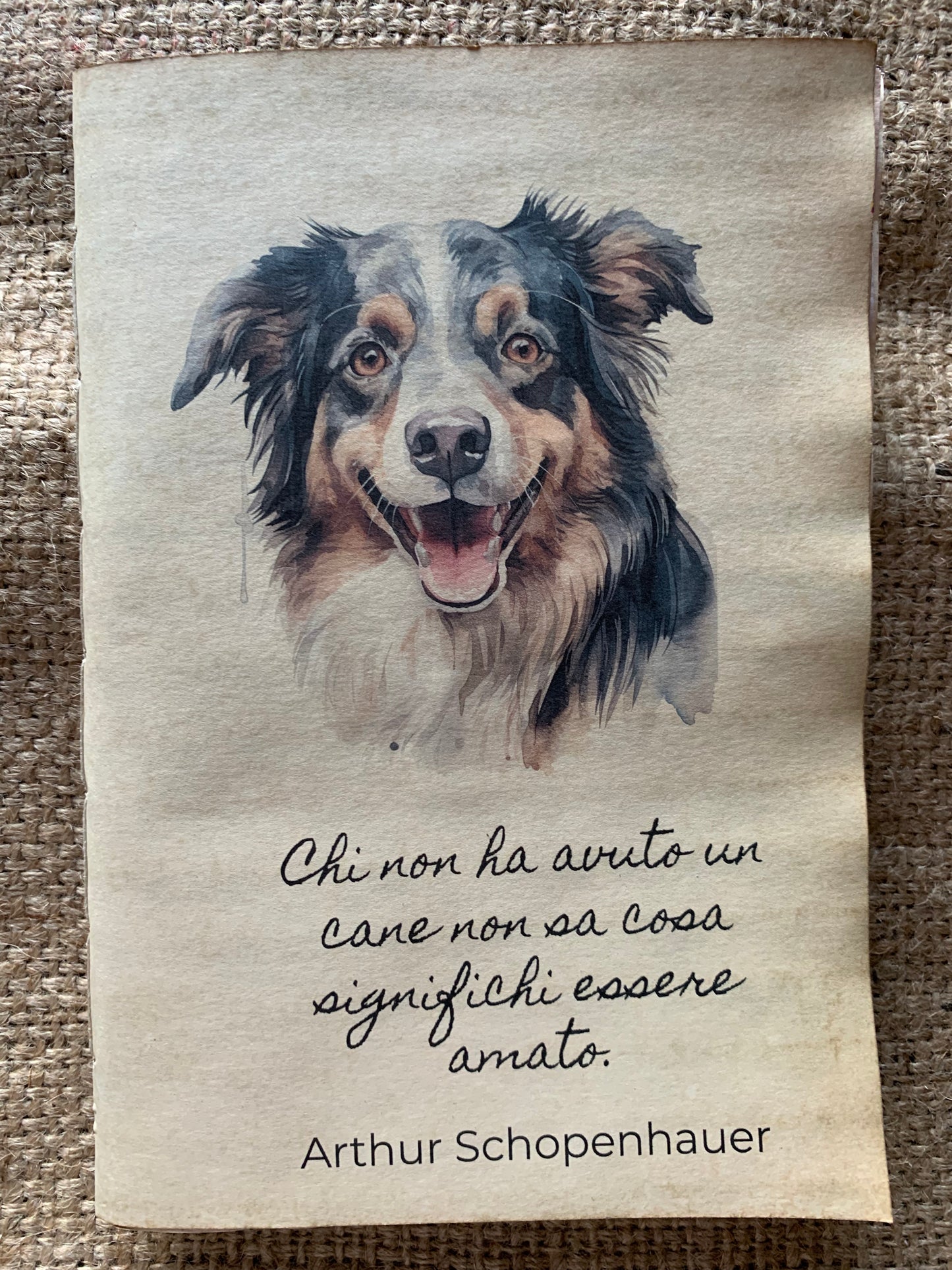 Amato