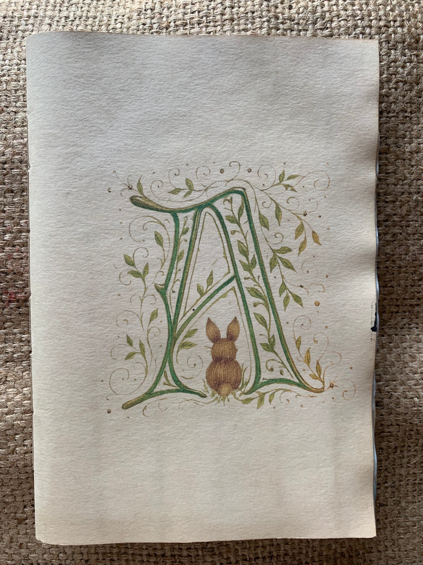 A Bunny