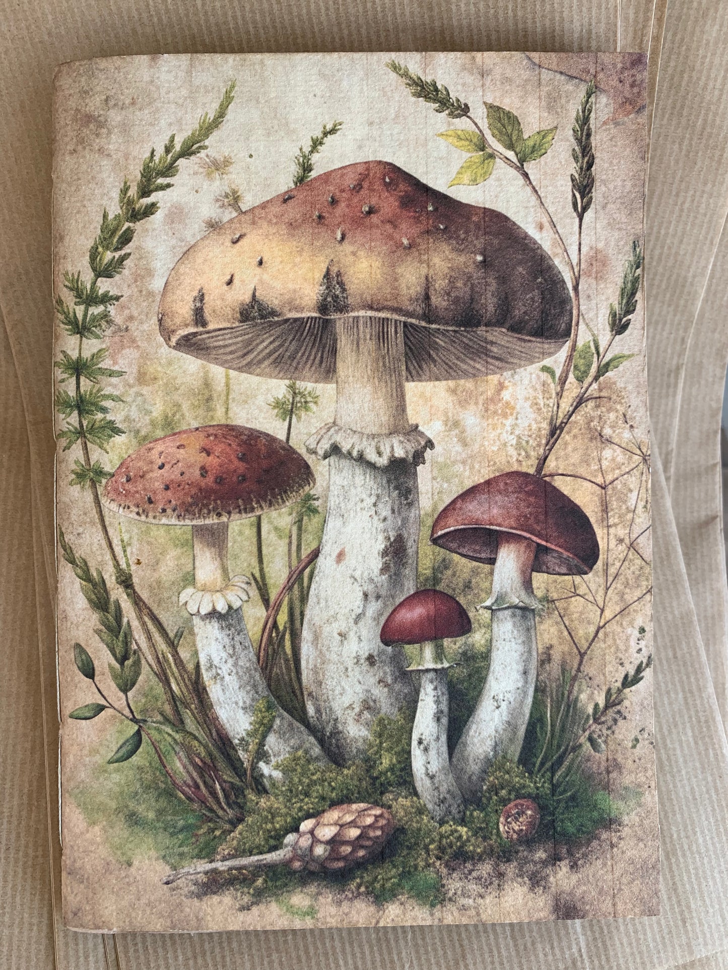 Funghi