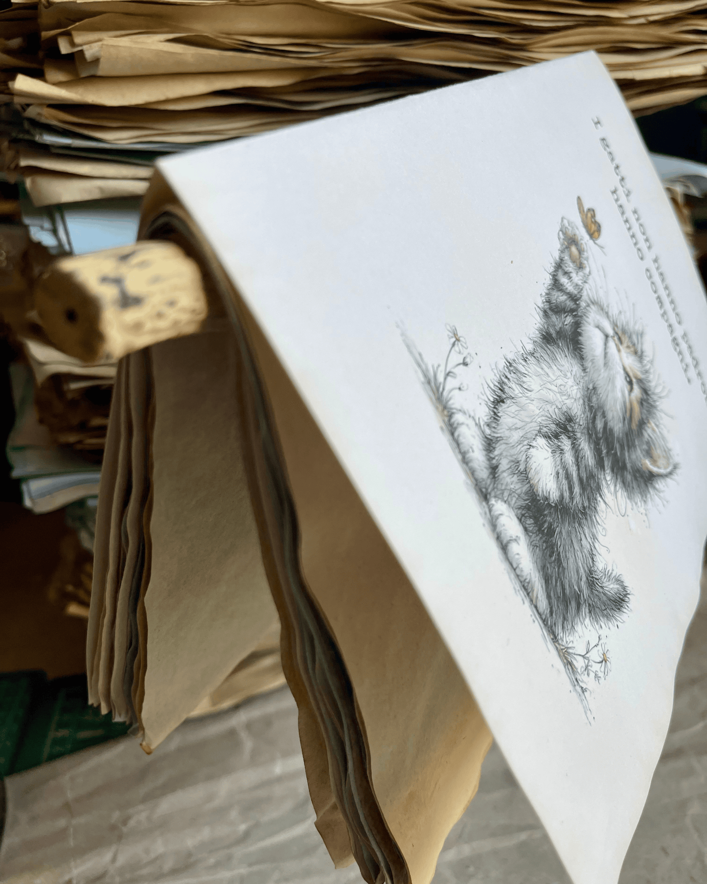 I gatti non hanno padroni