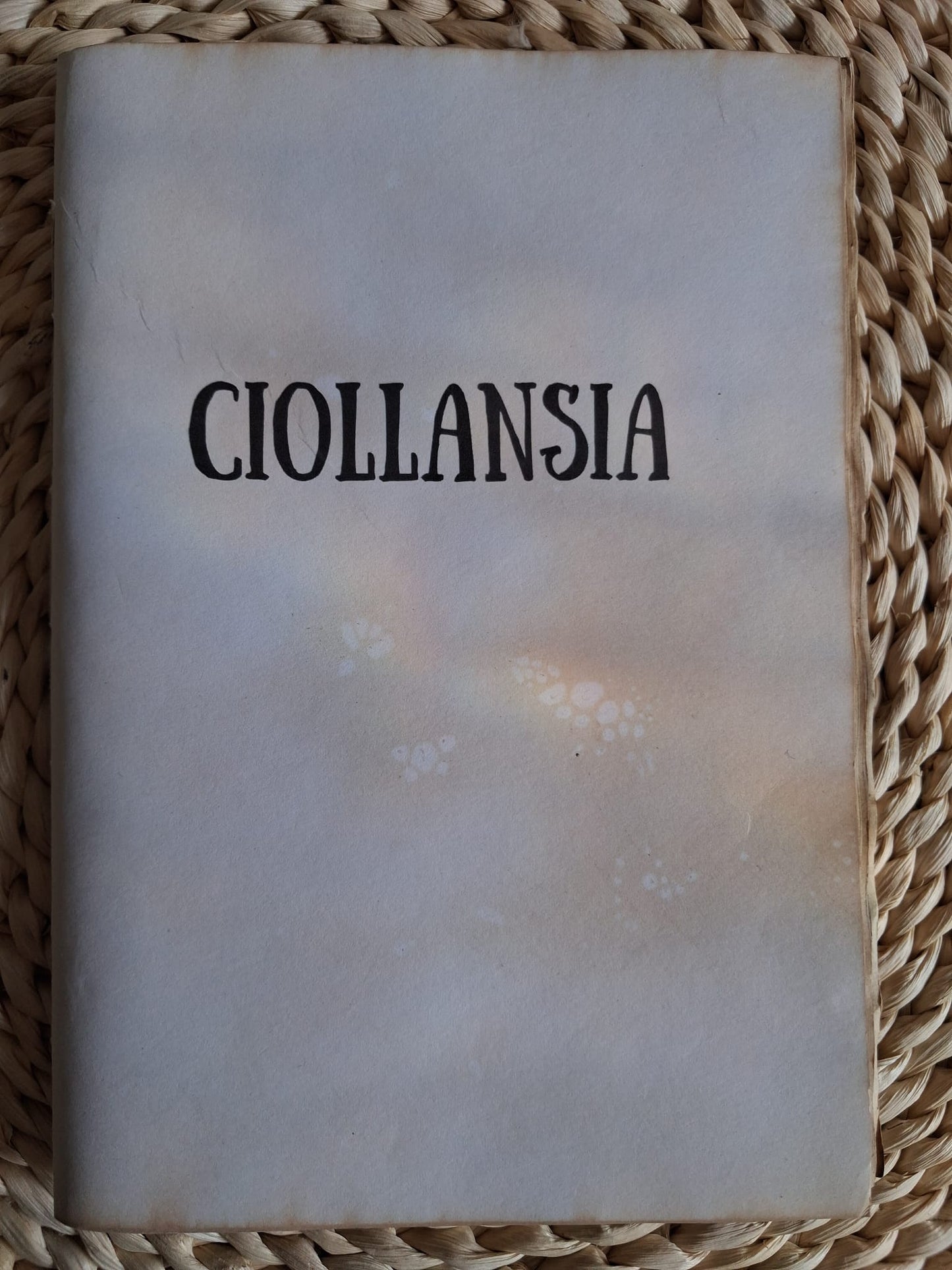 Ciollansia