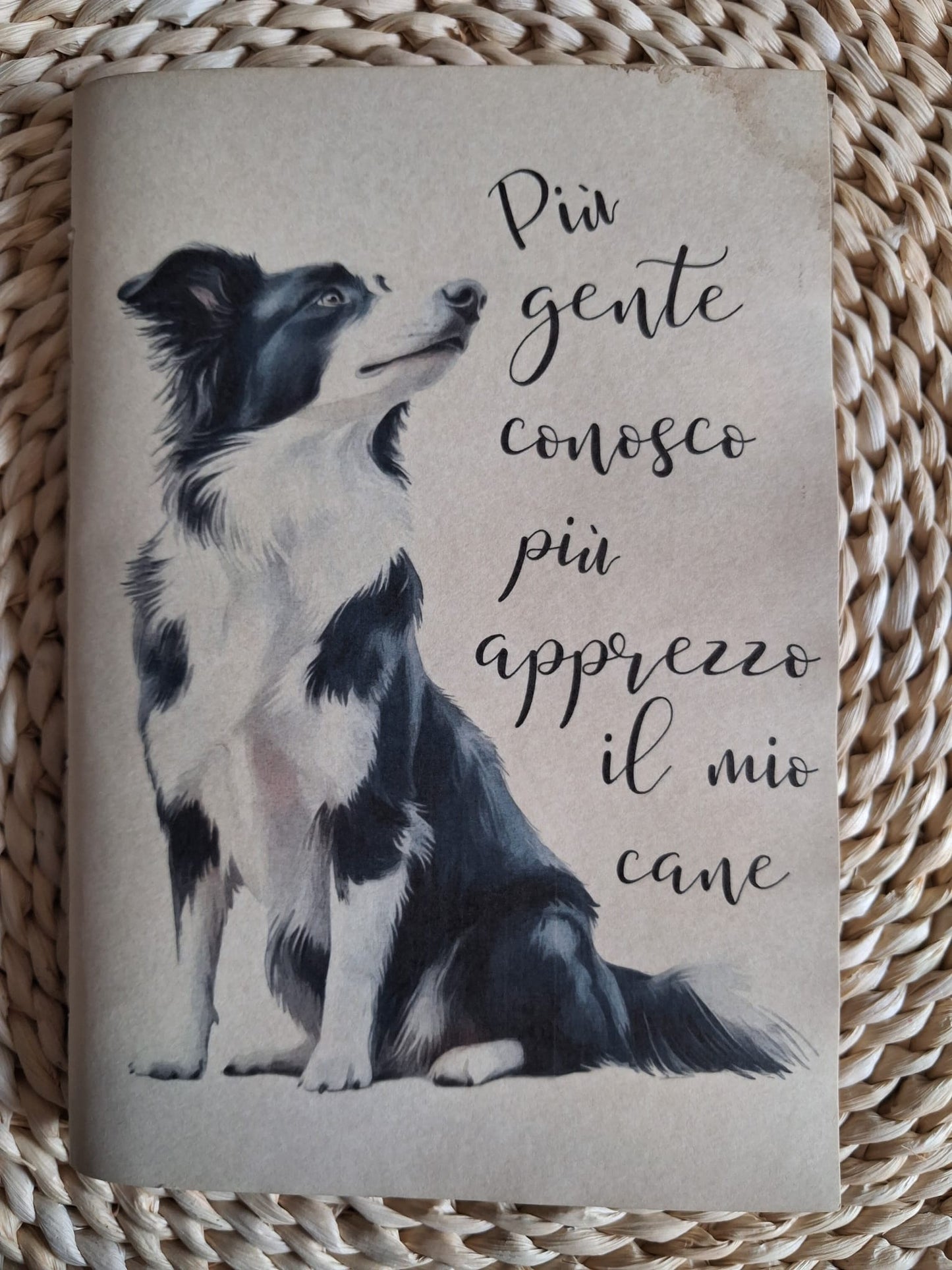 Più apprezzo il mio cane Border Collie