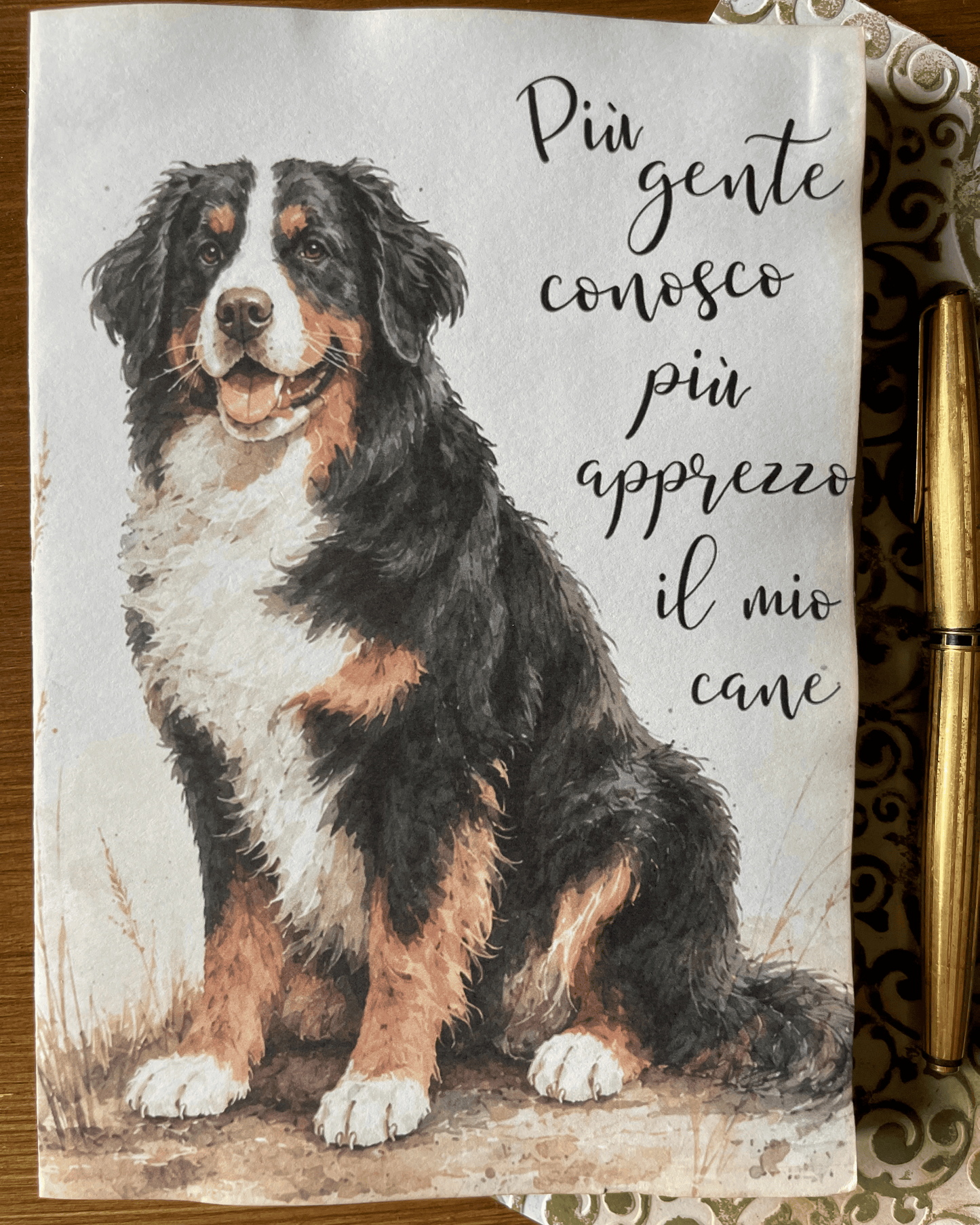Meglio il cane