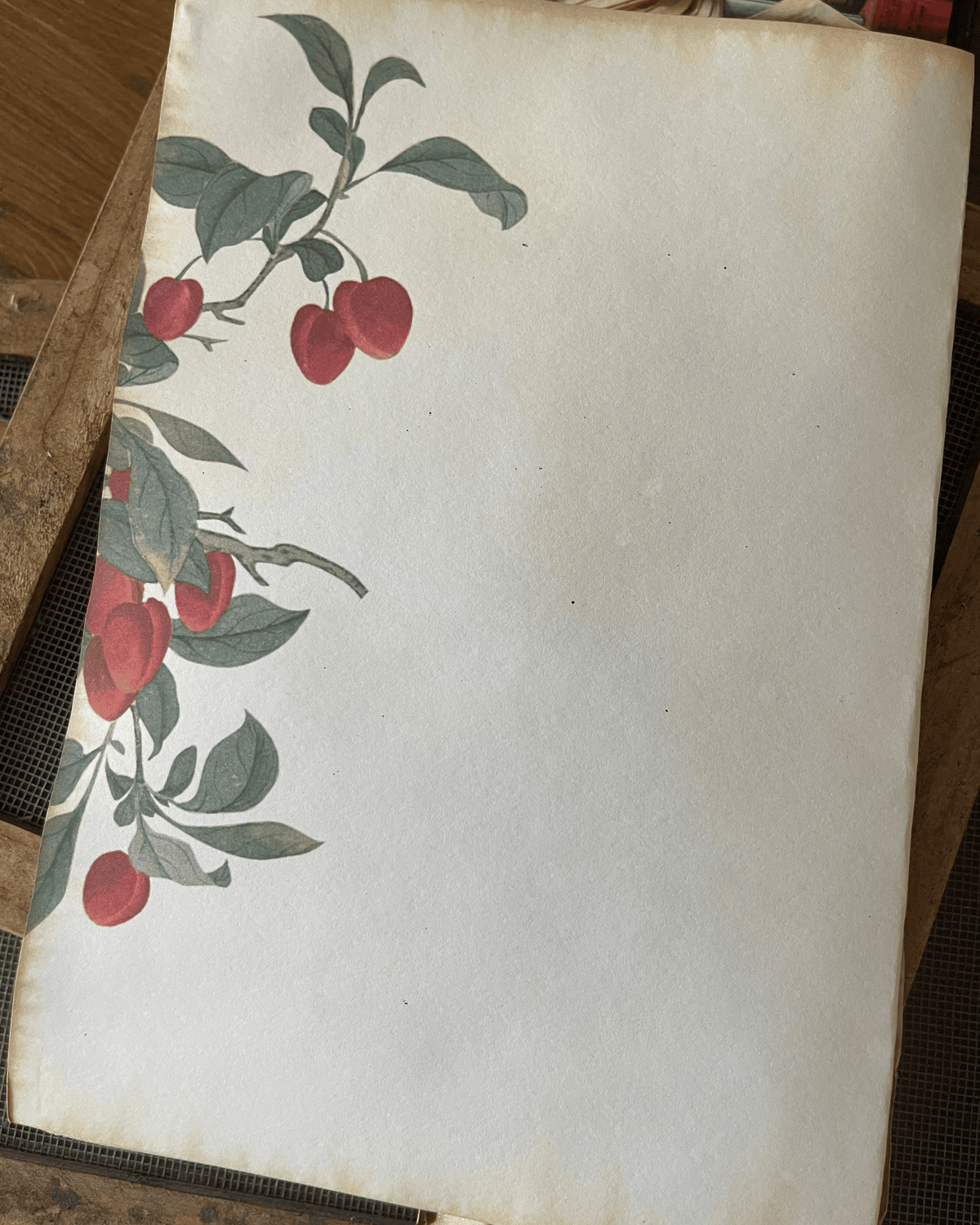 Diario delle Lune
