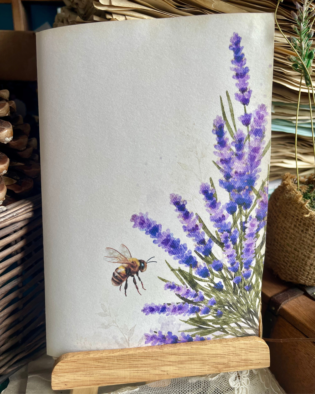 Lavanda