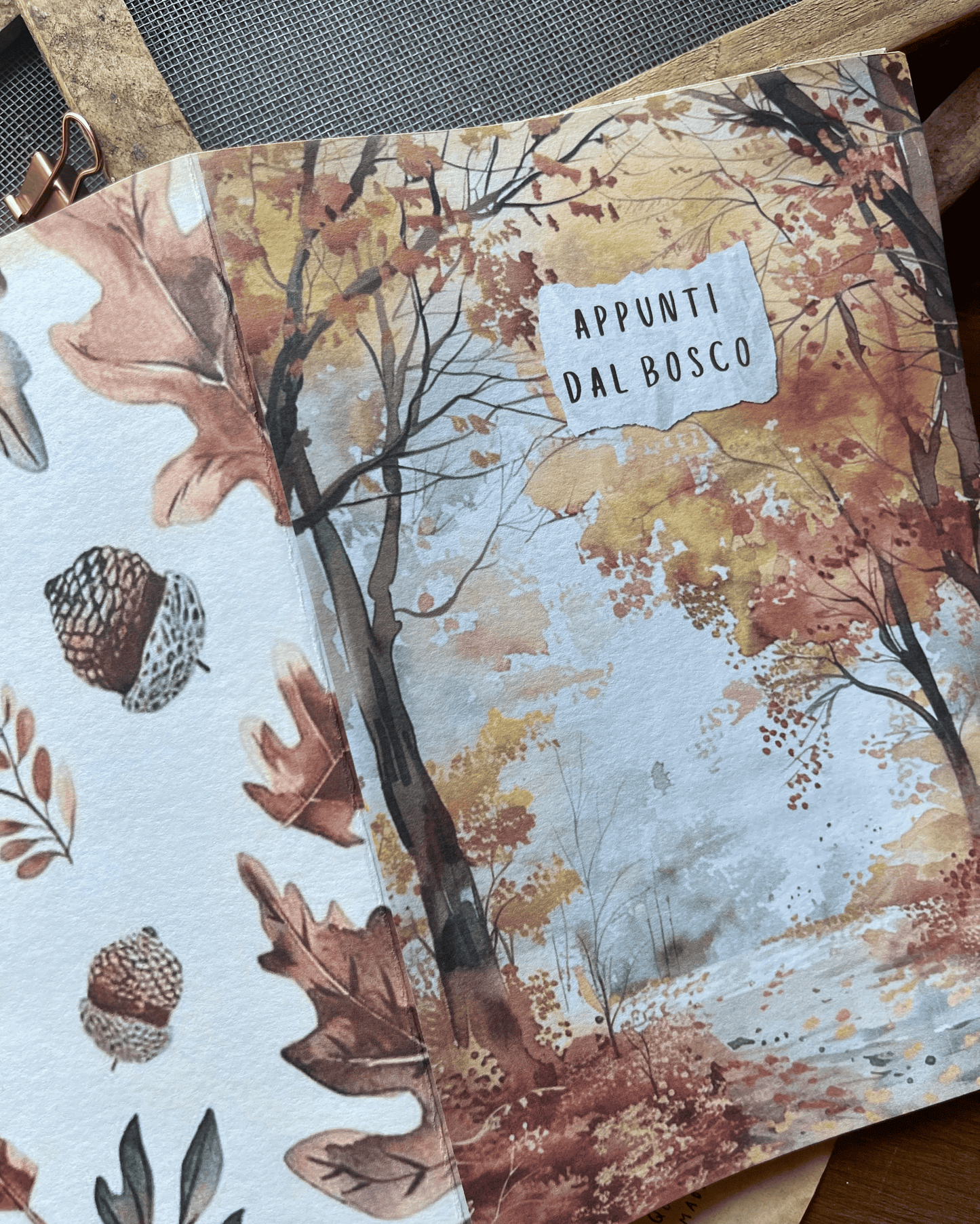 Appunti dal bosco
