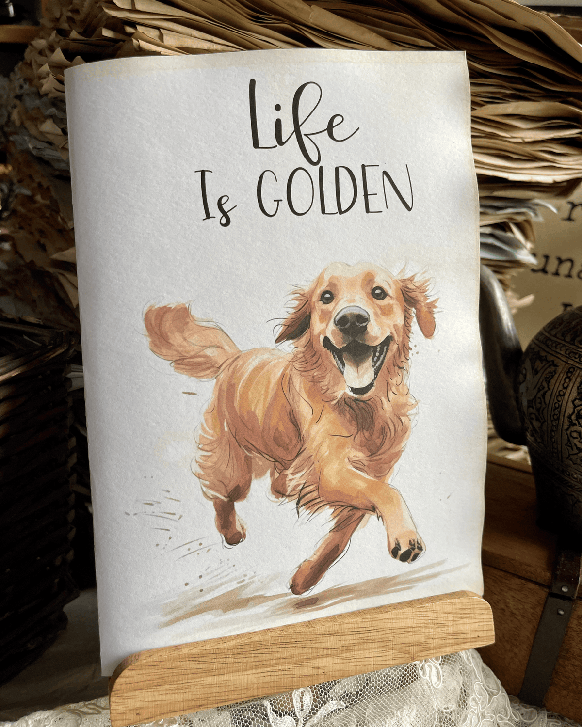 Vita da Golden
