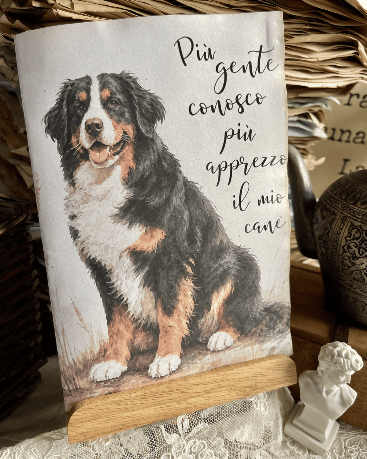 Meglio il cane