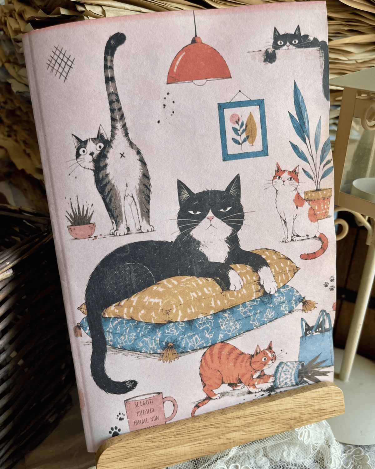 Gatti di casa