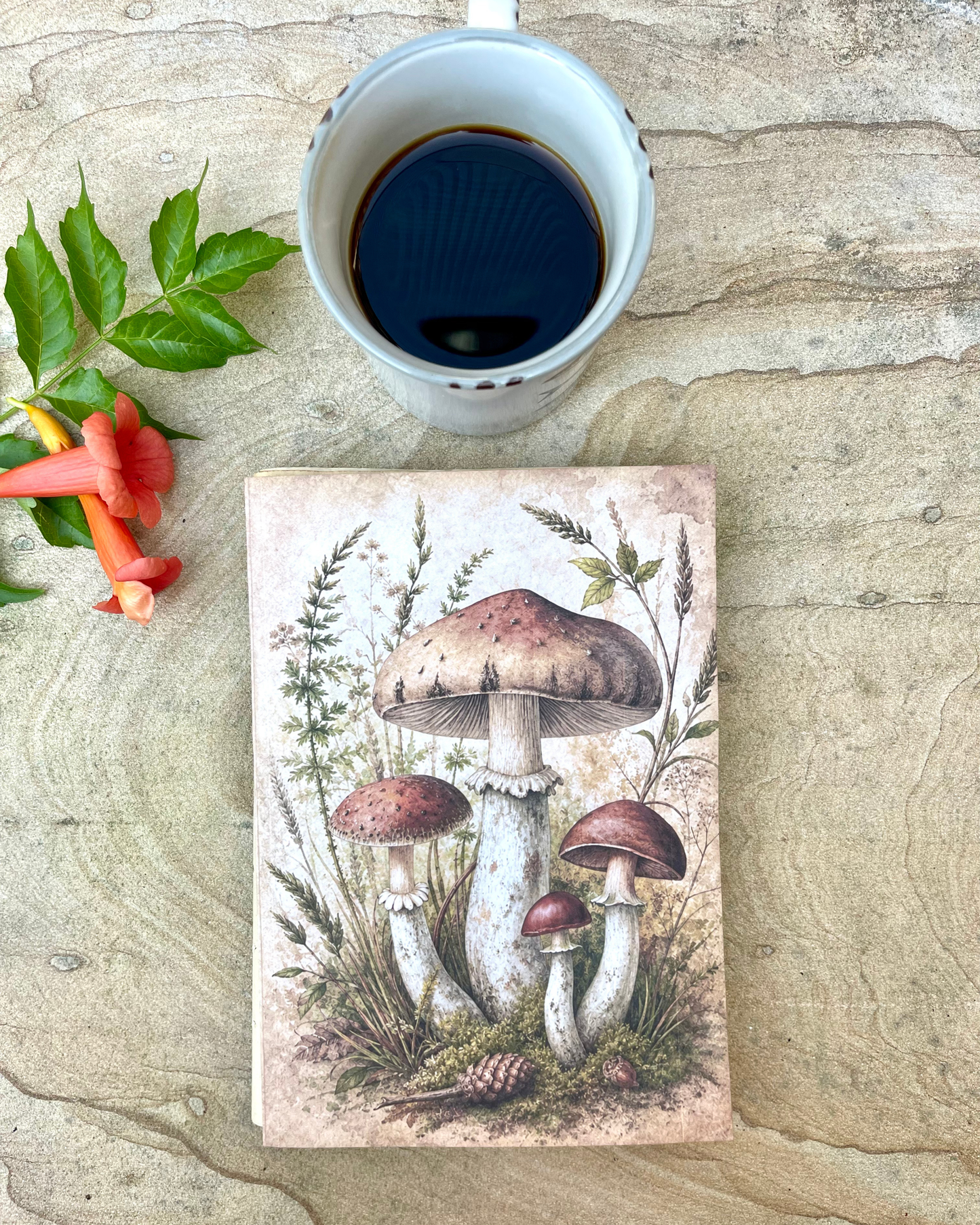 Funghi del bosco — Quaderno A5 fatto a mano
