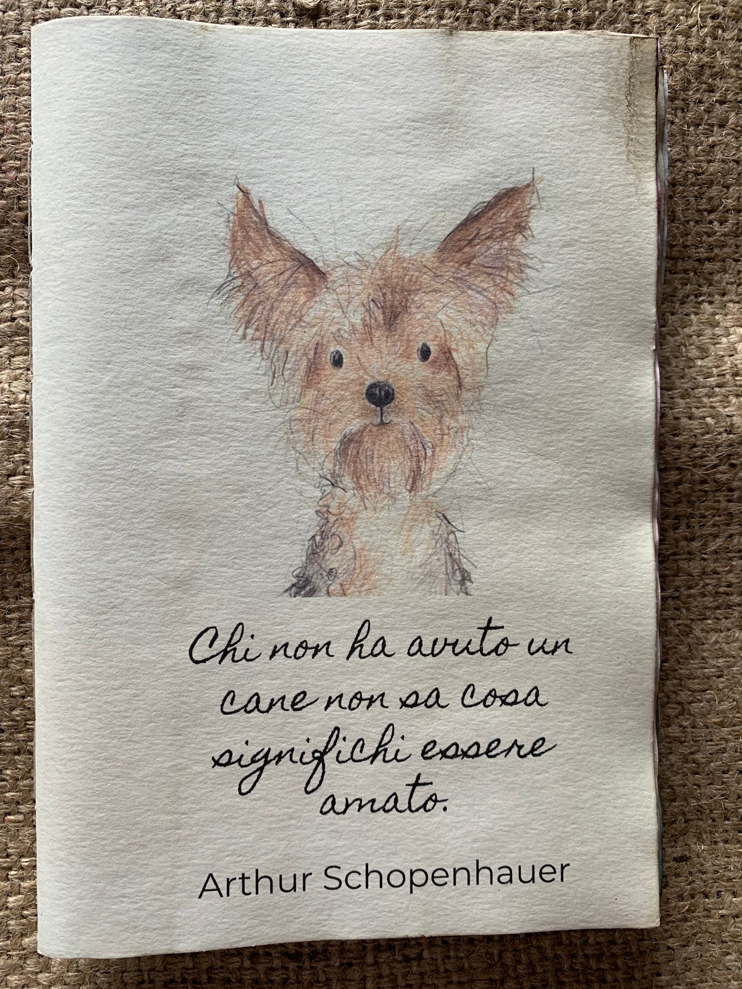 Cagnolino Schopenhauer