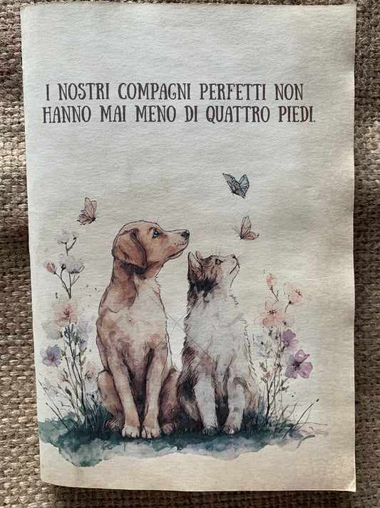 Compagni Perfetti