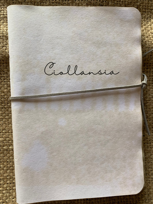 Ciollansia Corsivo