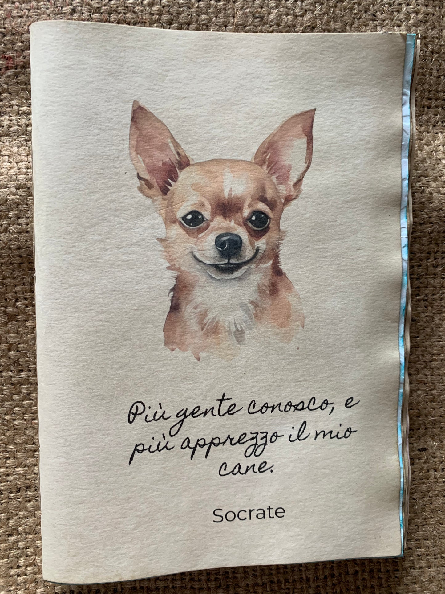 Chiwawa