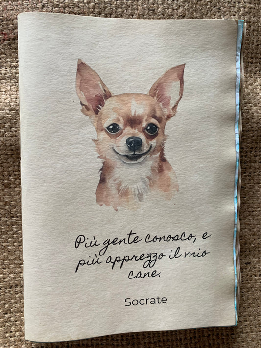 Chiwawa