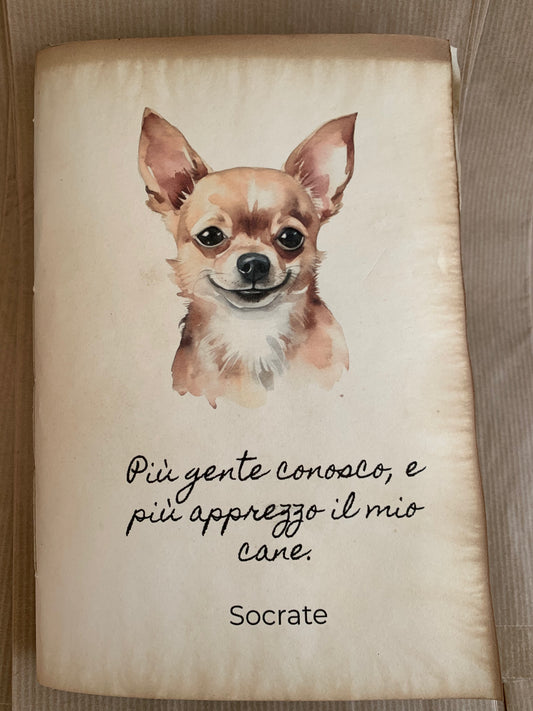 Socrate