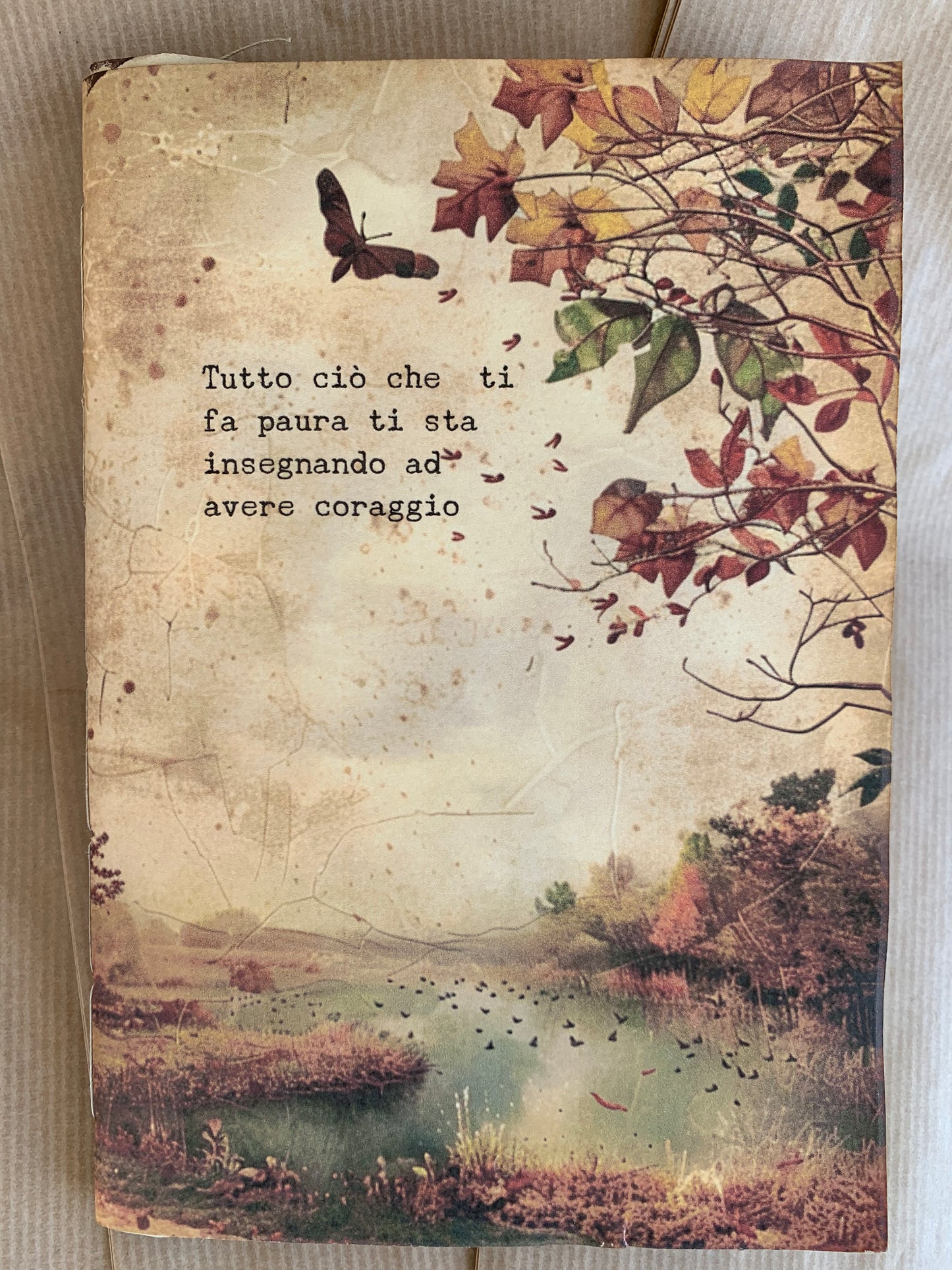 Paura e coraggio