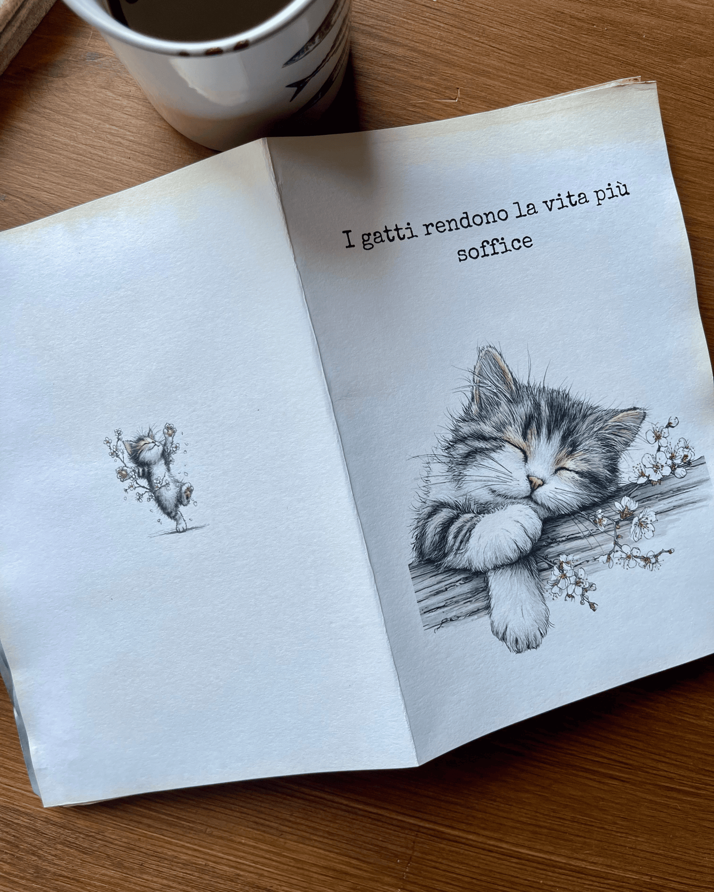 I gatti rendono la vita più soffice