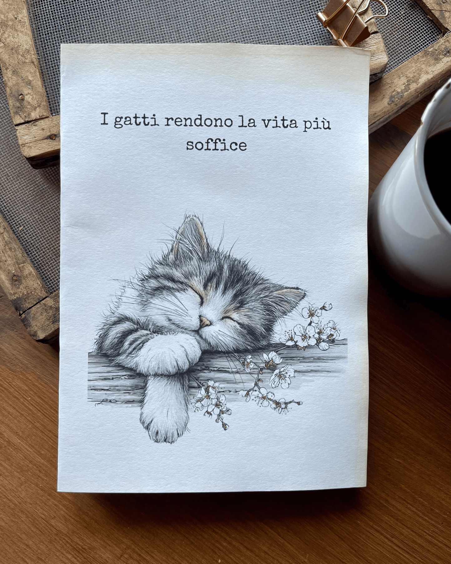 I gatti rendono la vita più soffice