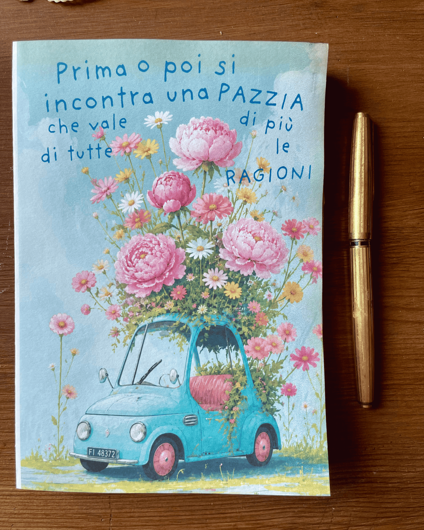 Una bella pazzia