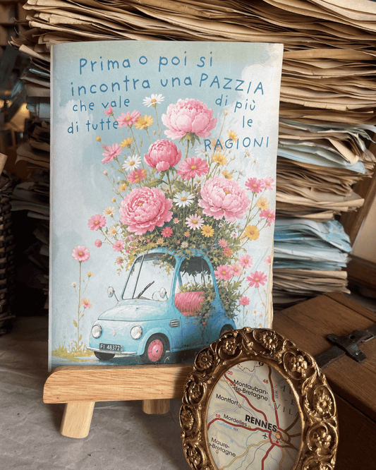 Una bella pazzia