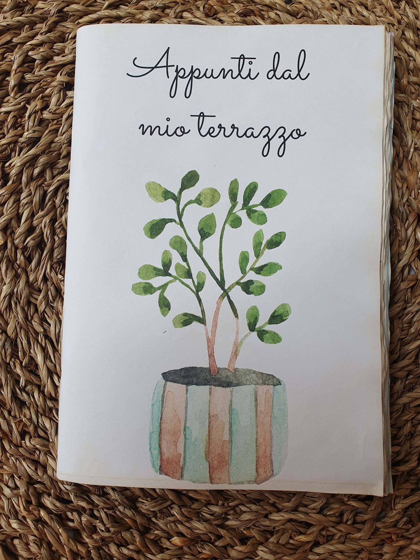 Appunti dal Mio Terrazzzo