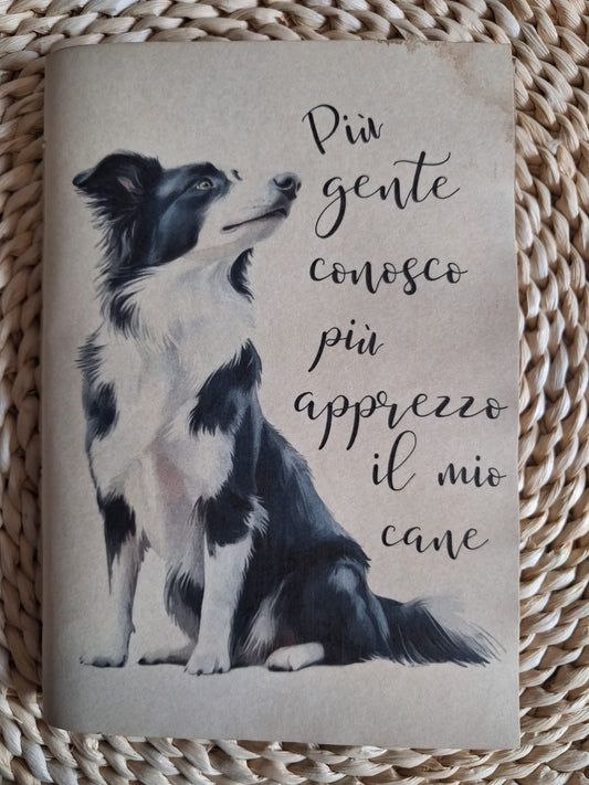 Più apprezzo il mio cane Border Collie