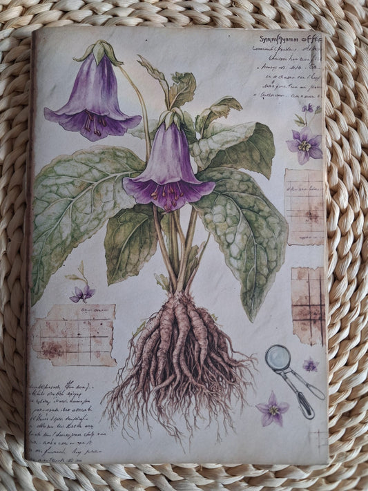 Floreale