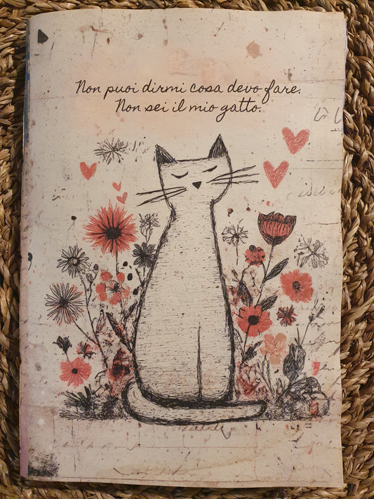 Non sei il mio gatto