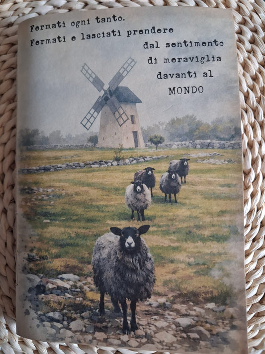 Meraviglia